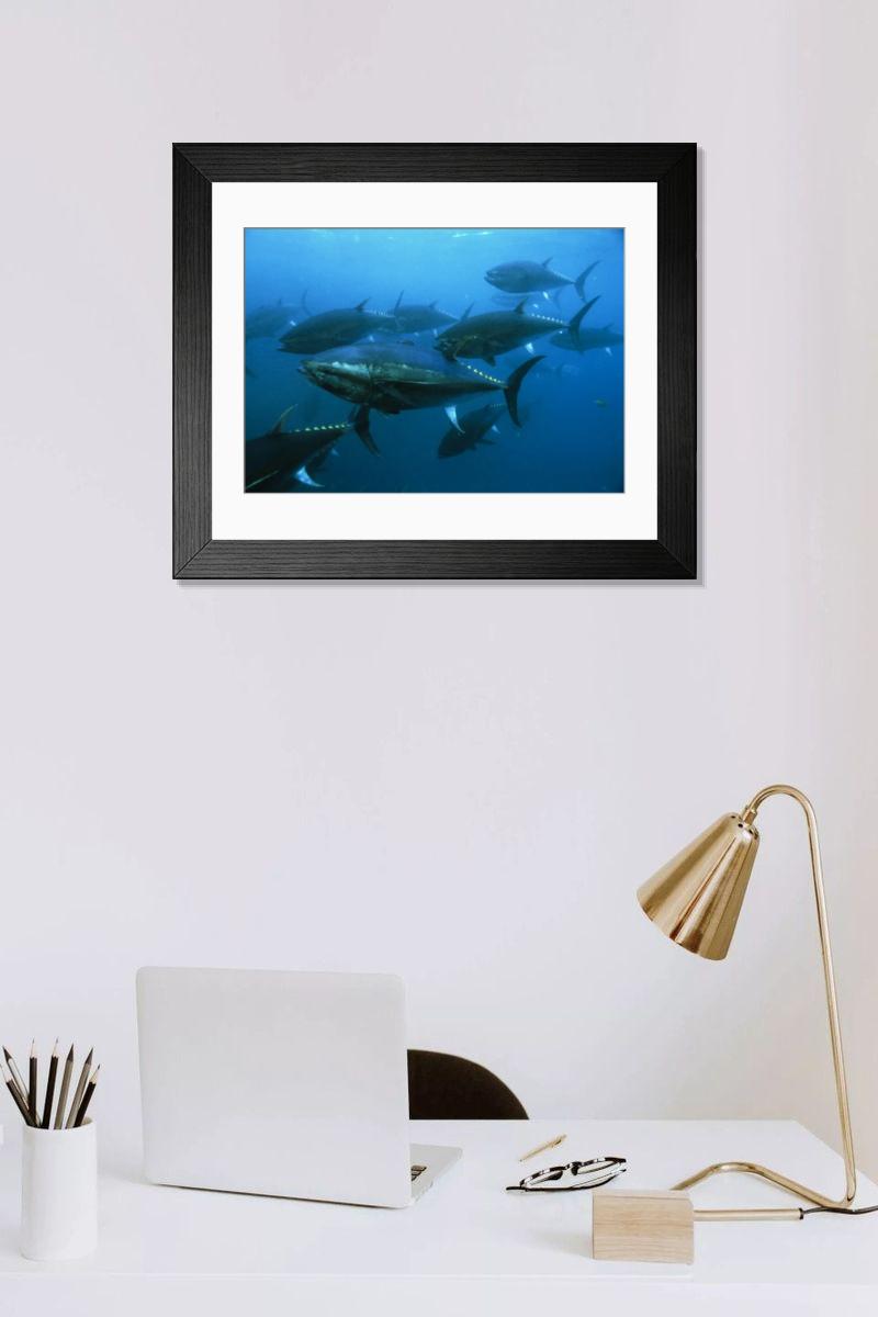 Shown hanging in a room: Modern 14"x12" (36x31cm)