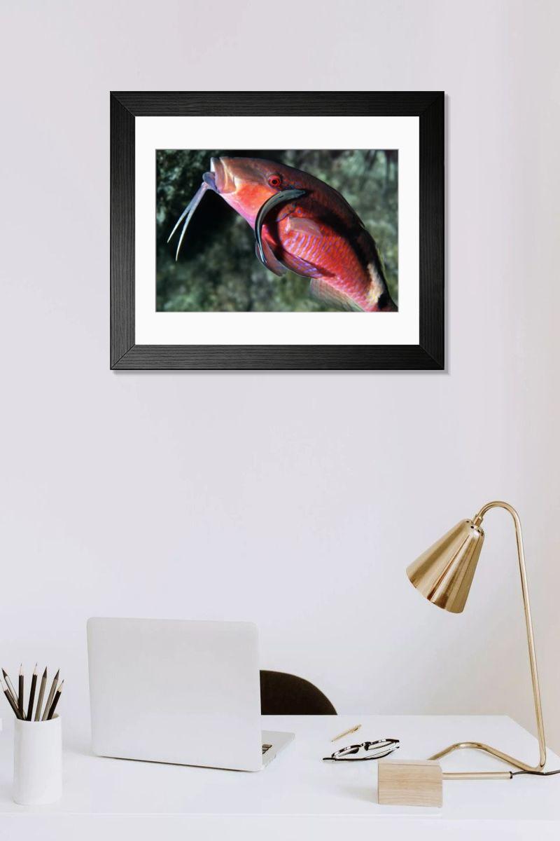 Shown hanging in a room: Modern 14"x12" (36x31cm)