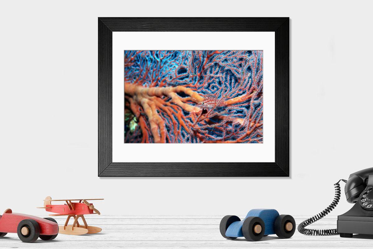 Shown hanging in a room: Modern 14"x12" (36x31cm)