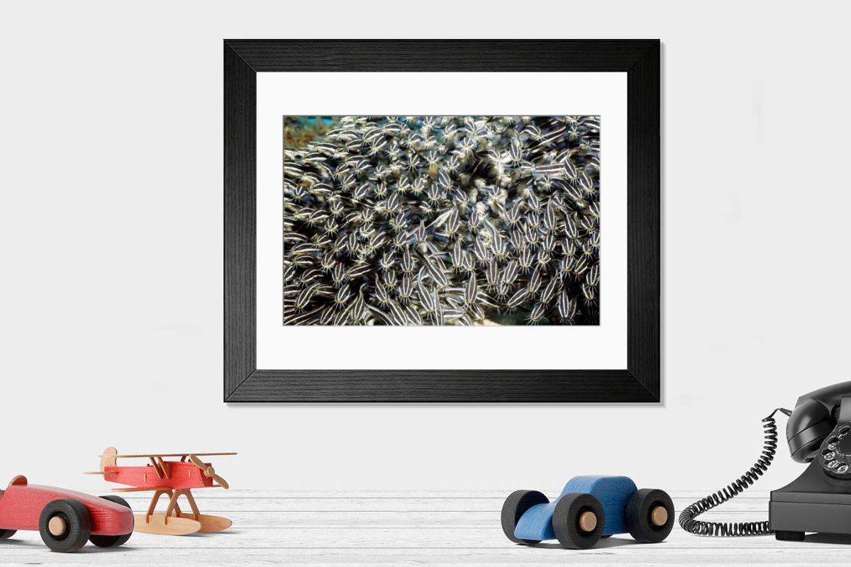 Shown hanging in a room: Modern 14"x12" (36x31cm)