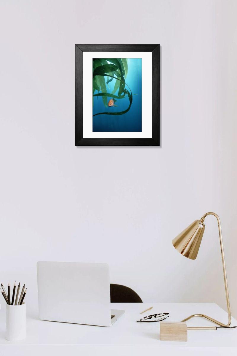 Shown hanging in a room: Modern 14"x12" (36x31cm)