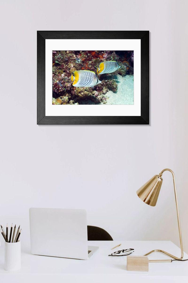 Shown hanging in a room: Modern 14"x12" (36x31cm)