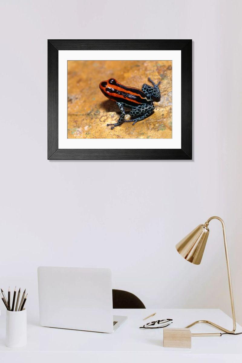 Shown hanging in a room: Modern 14"x12" (36x31cm)