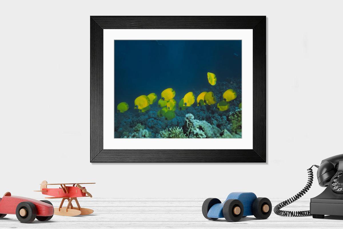 Shown hanging in a room: Modern 14"x12" (36x31cm)
