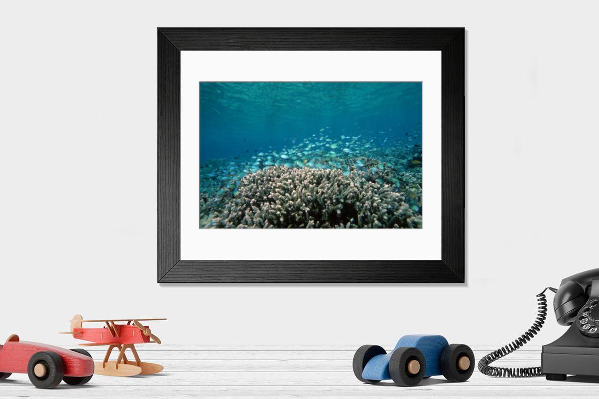 Shown hanging in a room: Modern 14"x12" (36x31cm)
