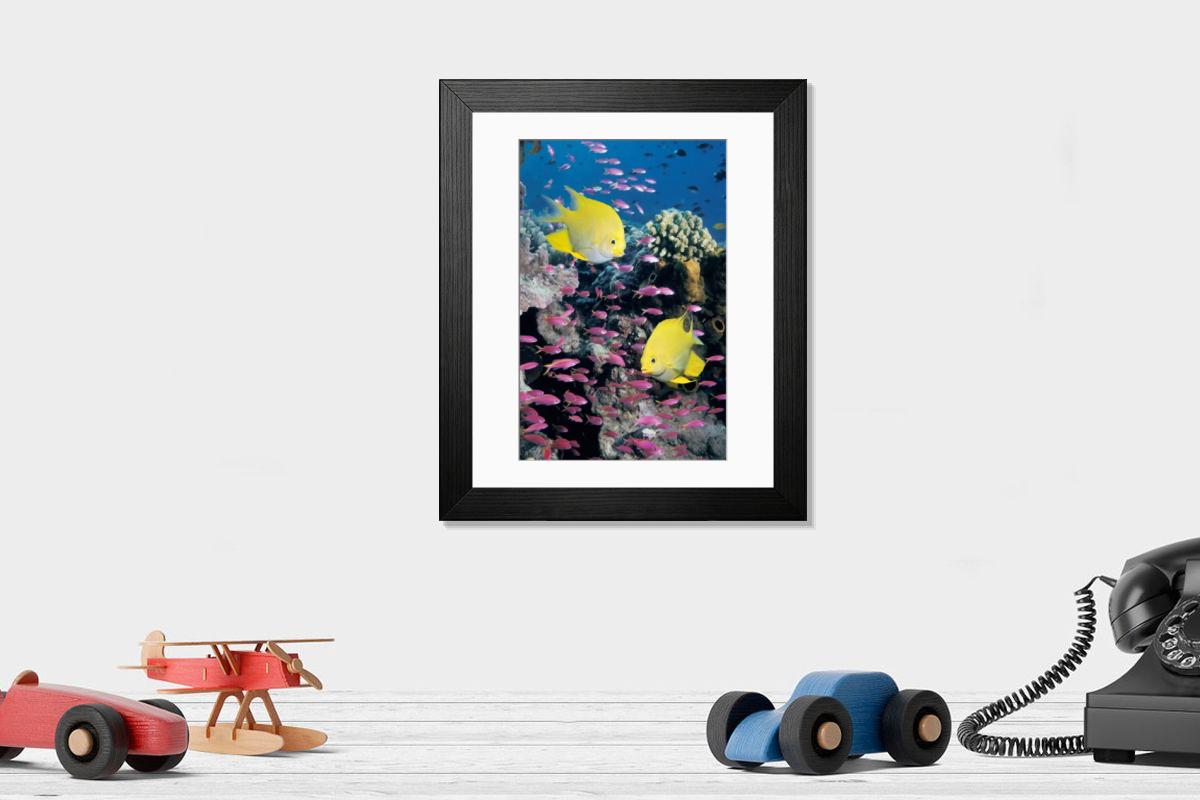 Shown hanging in a room: Modern 14"x12" (36x31cm)