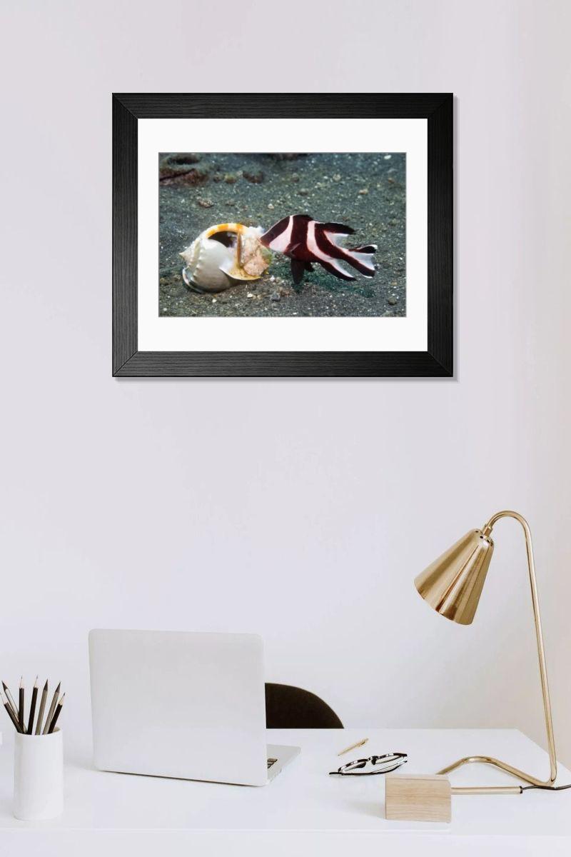 Shown hanging in a room: Modern 14"x12" (36x31cm)