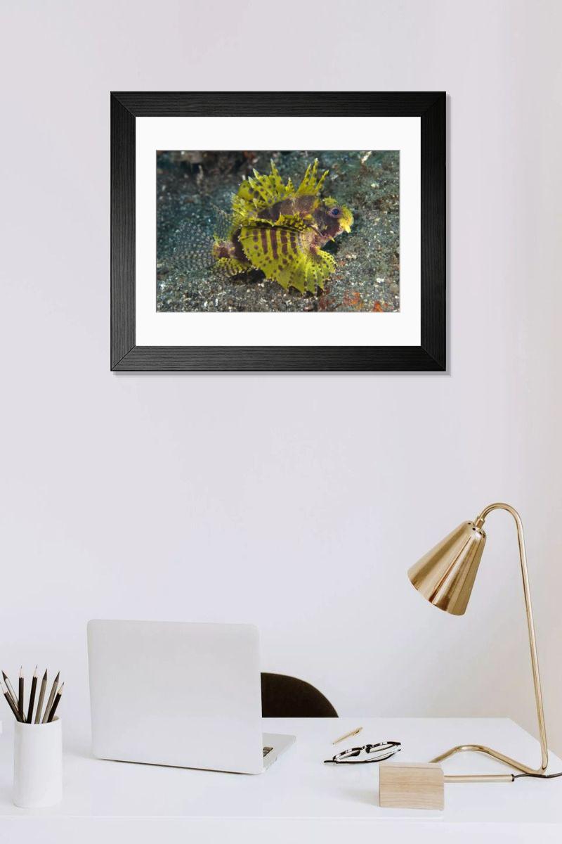 Shown hanging in a room: Modern 14"x12" (36x31cm)