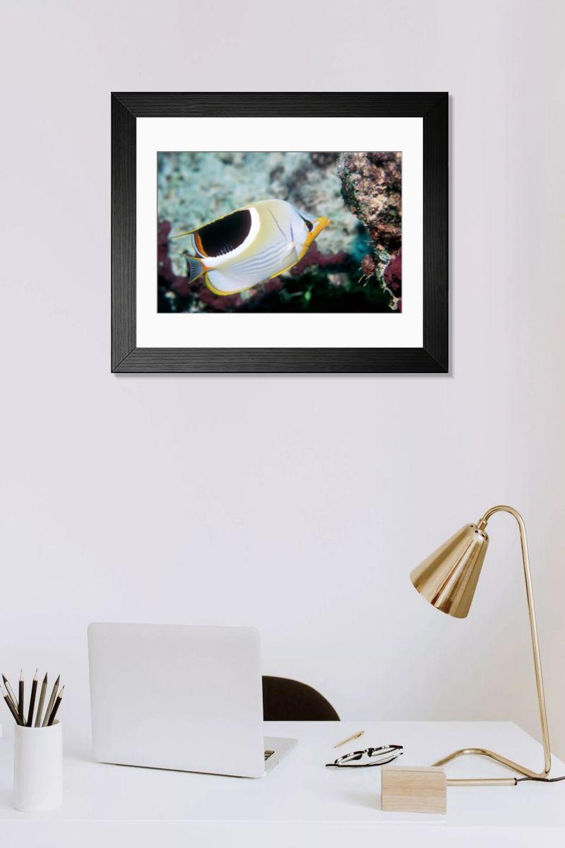 Shown hanging in a room: Modern 14"x12" (36x31cm)