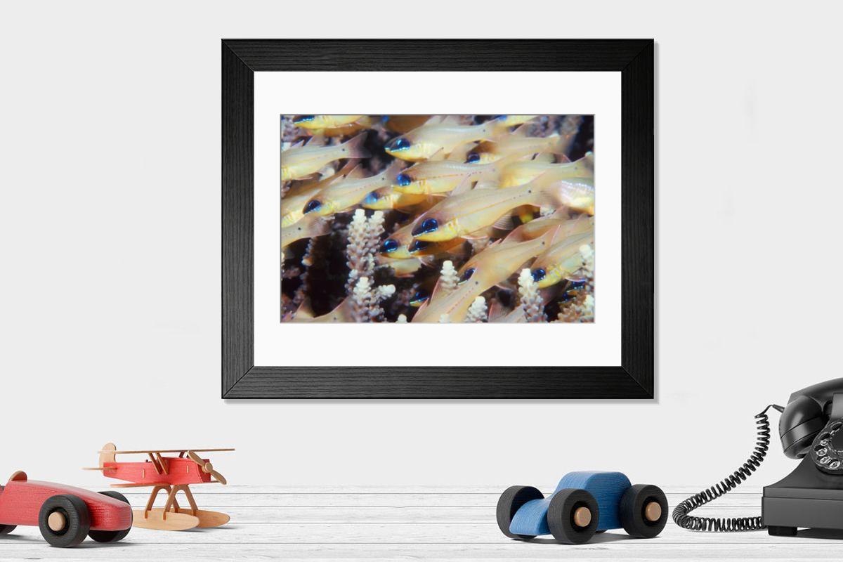 Shown hanging in a room: Modern 14"x12" (36x31cm)