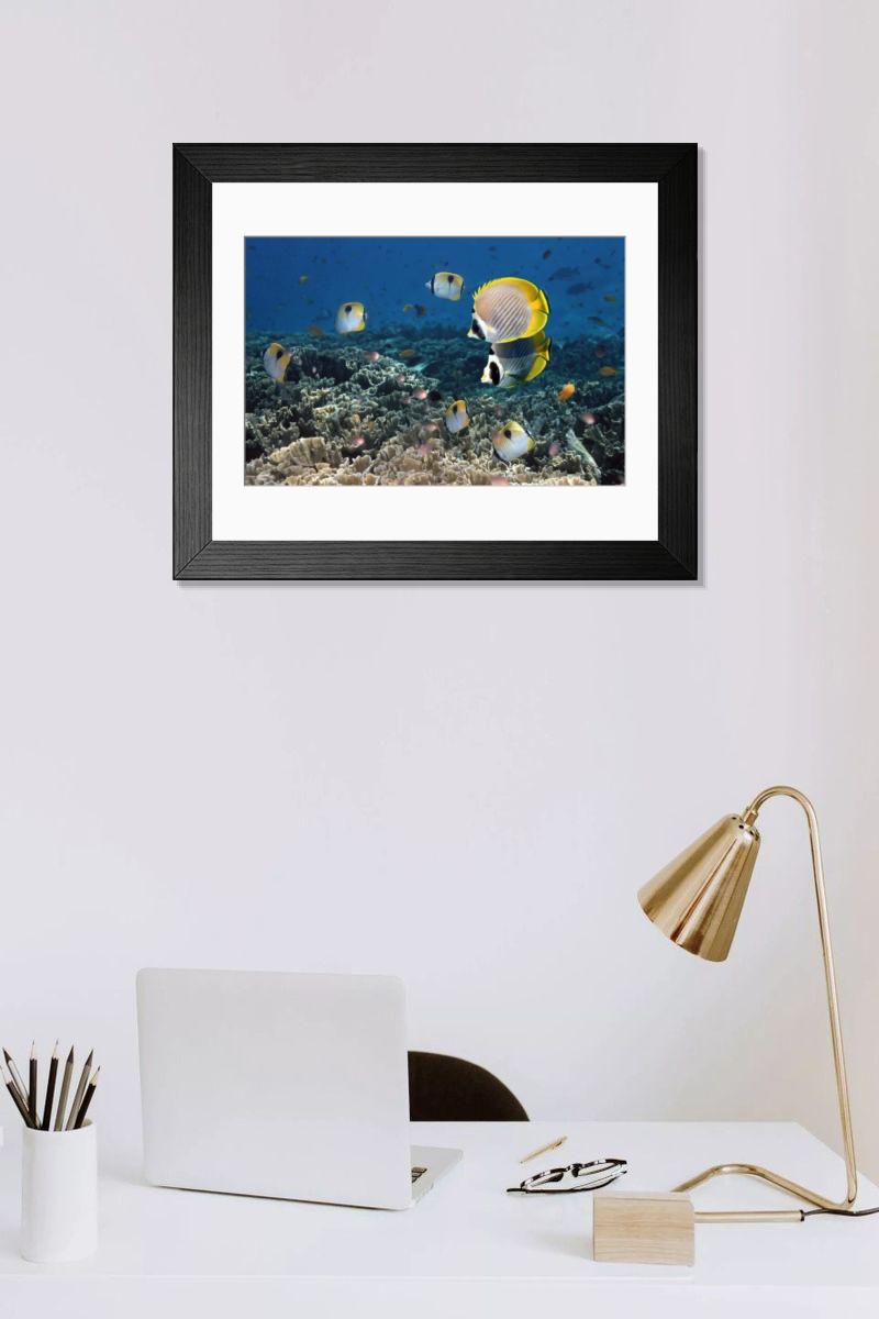 Shown hanging in a room: Modern 14"x12" (36x31cm)