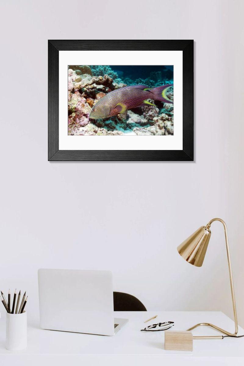 Shown hanging in a room: Modern 14"x12" (36x31cm)