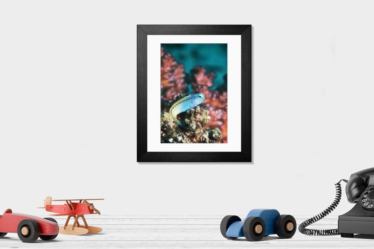 Shown hanging in a room: Modern 14"x12" (36x31cm)