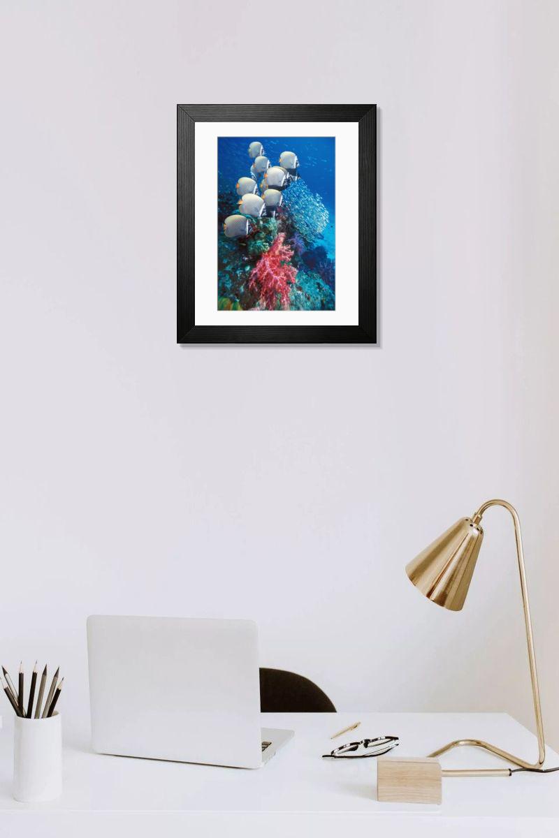 Shown hanging in a room: Modern 14"x12" (36x31cm)