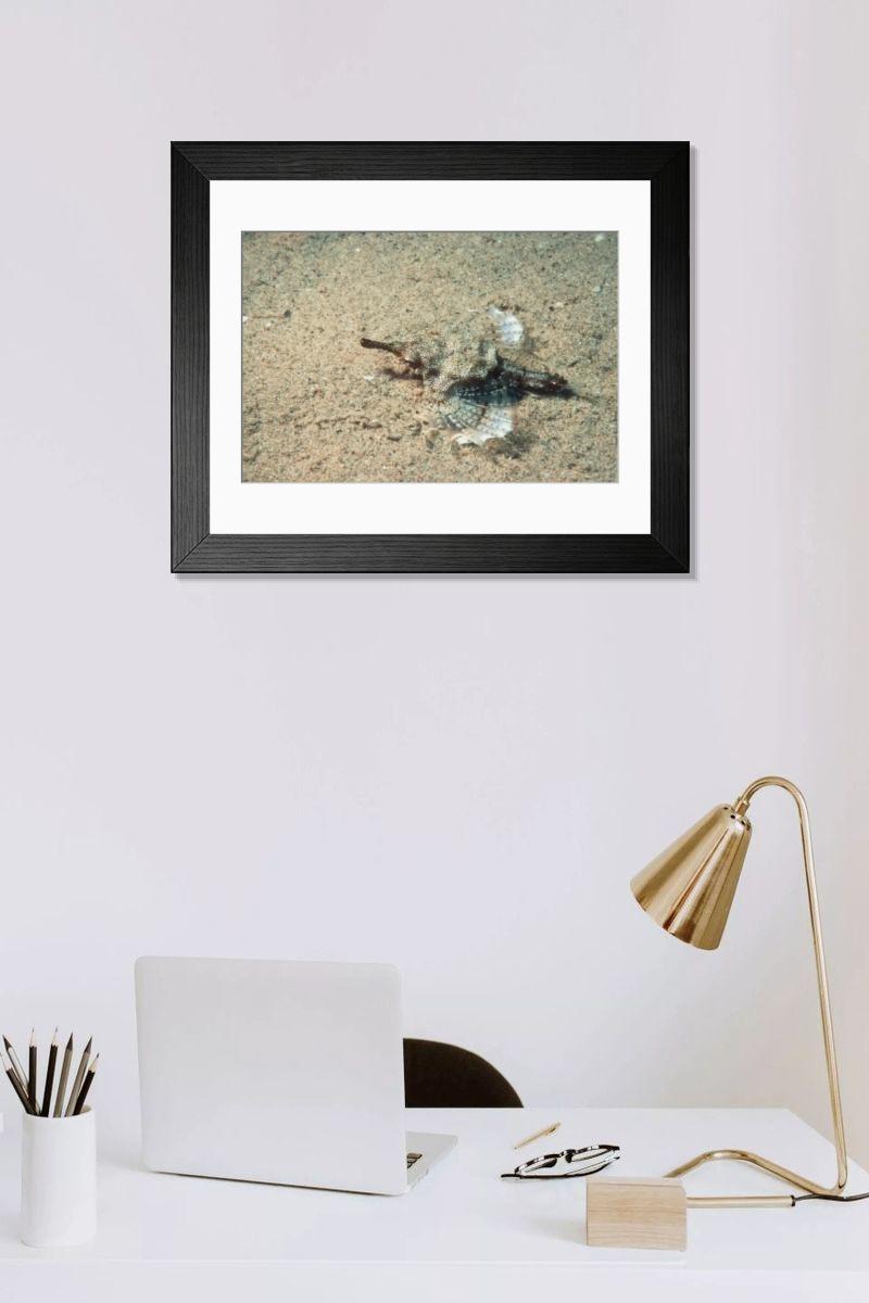 Shown hanging in a room: Modern 14"x12" (36x31cm)
