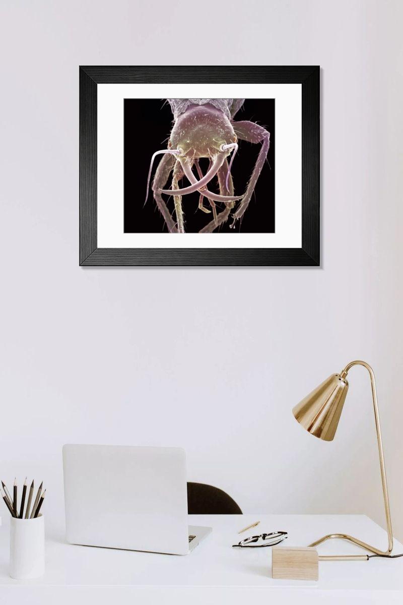 Shown hanging in a room: Modern 14"x12" (36x31cm)