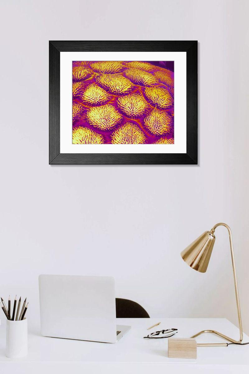 Shown hanging in a room: Modern 14"x12" (36x31cm)