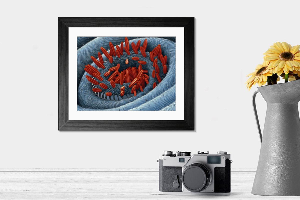 Shown hanging in a room: Modern 14"x12" (36x31cm)