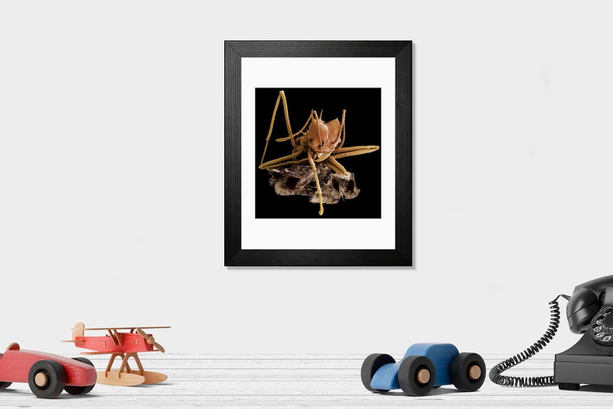 Shown hanging in a room: Modern 14"x12" (36x31cm)