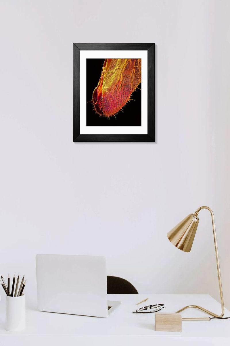 Shown hanging in a room: Modern 14"x12" (36x31cm)