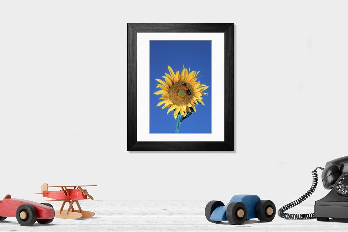 Shown hanging in a room: Modern 14"x12" (36x31cm)