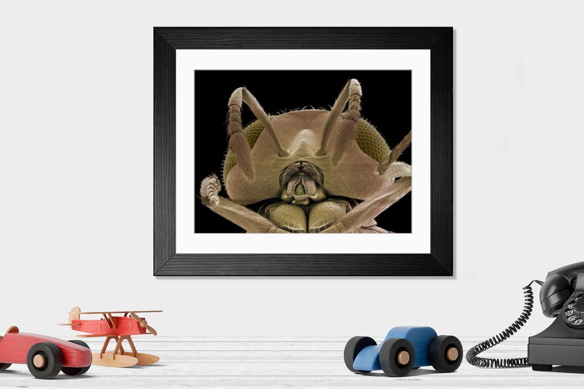 Shown hanging in a room: Modern 14"x12" (36x31cm)