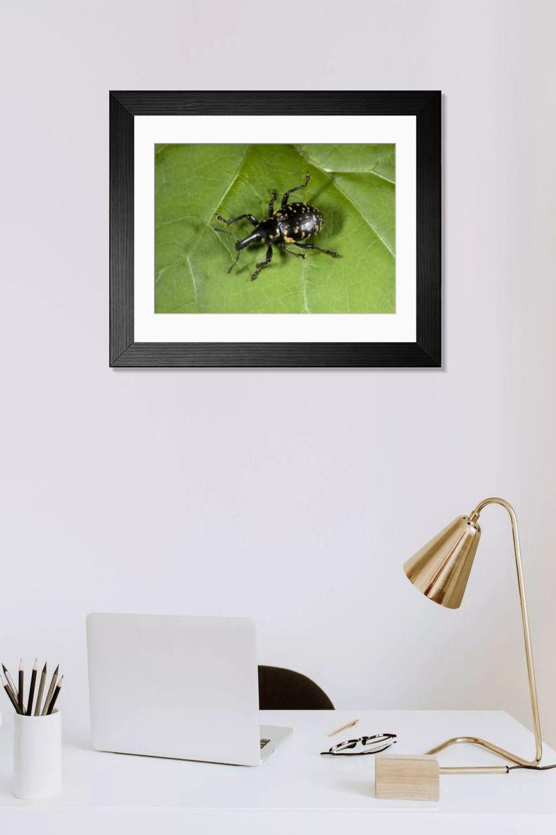 Shown hanging in a room: Modern 14"x12" (36x31cm)