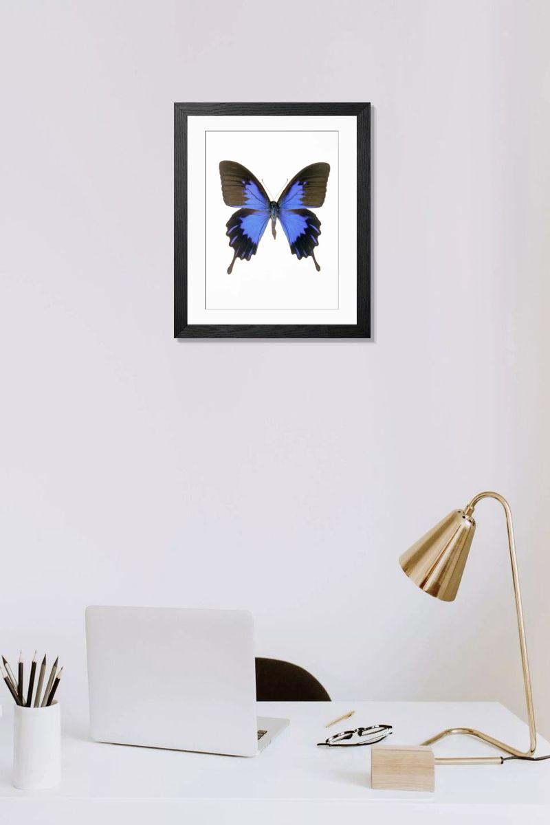 Shown hanging in a room: Modern 14"x12" (36x31cm)