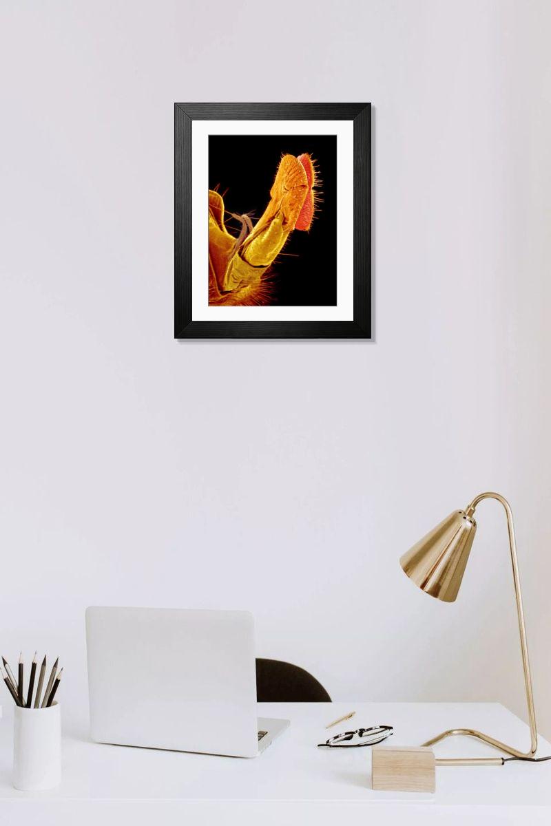 Shown hanging in a room: Modern 14"x12" (36x31cm)