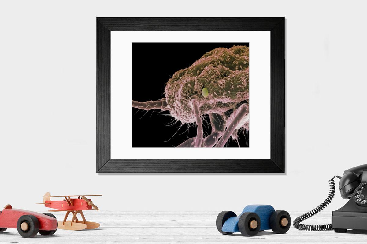Shown hanging in a room: Modern 14"x12" (36x31cm)