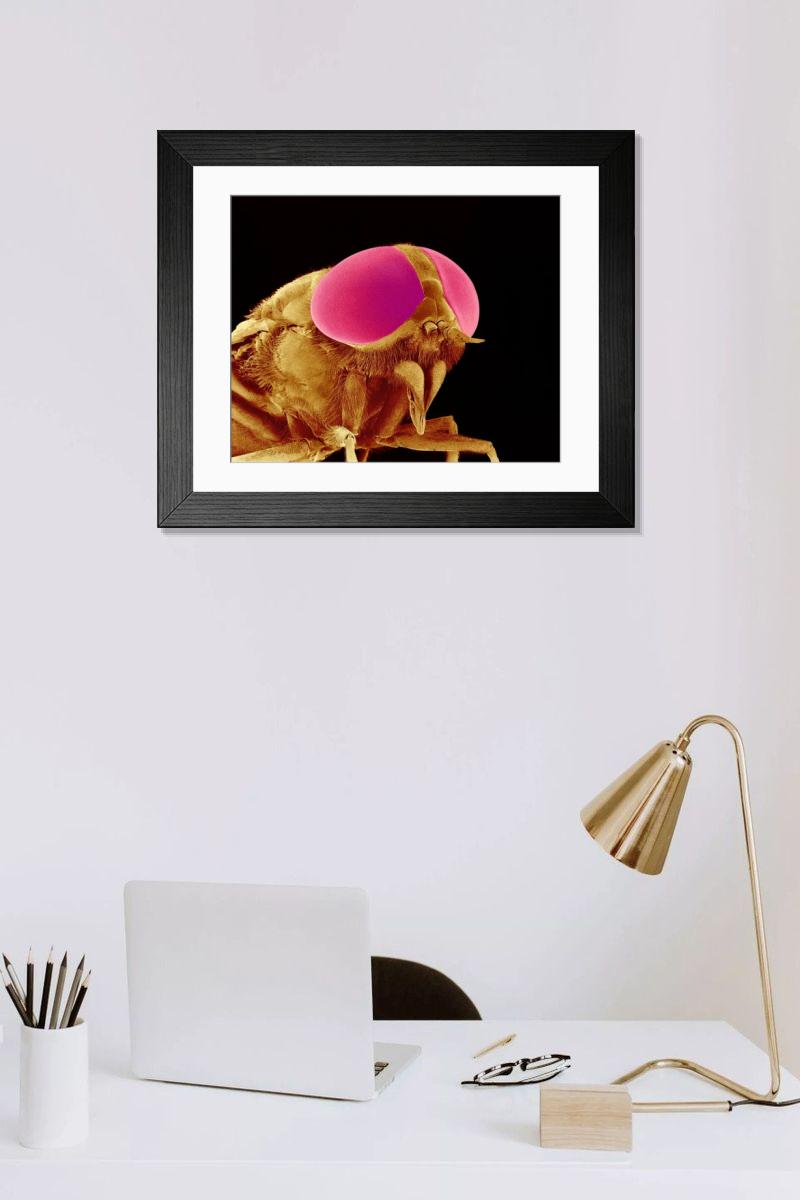 Shown hanging in a room: Modern 14"x12" (36x31cm)