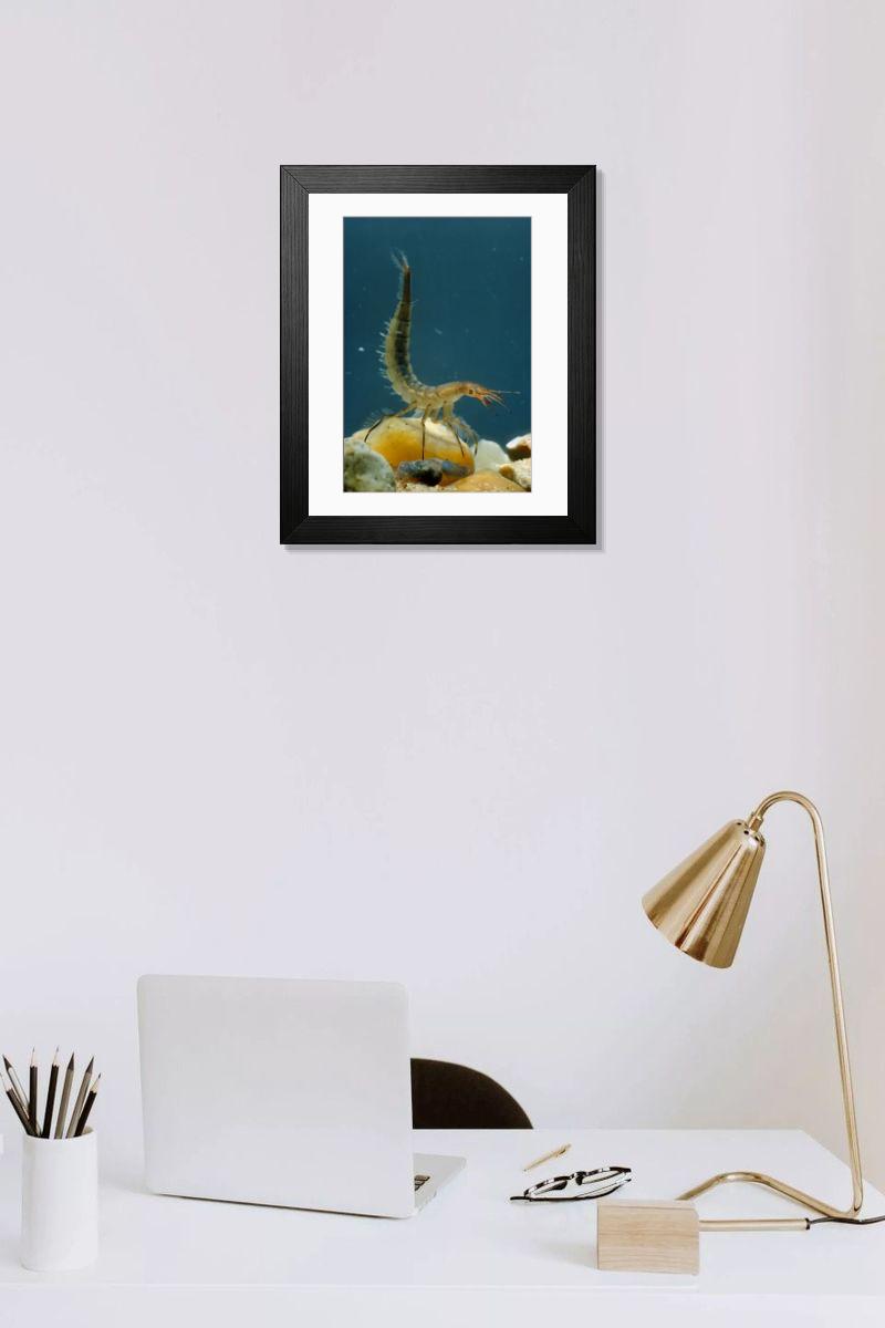 Shown hanging in a room: Modern 14"x12" (36x31cm)