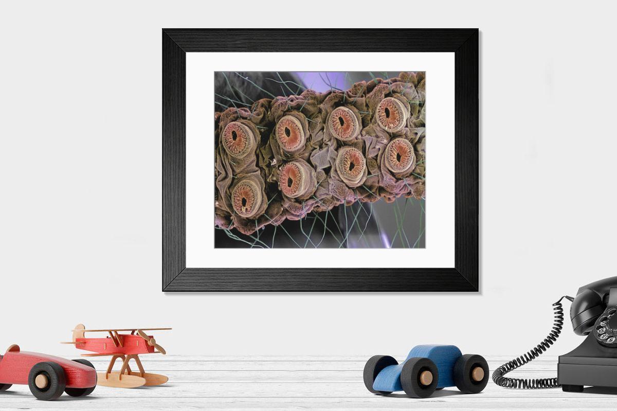 Shown hanging in a room: Modern 14"x12" (36x31cm)