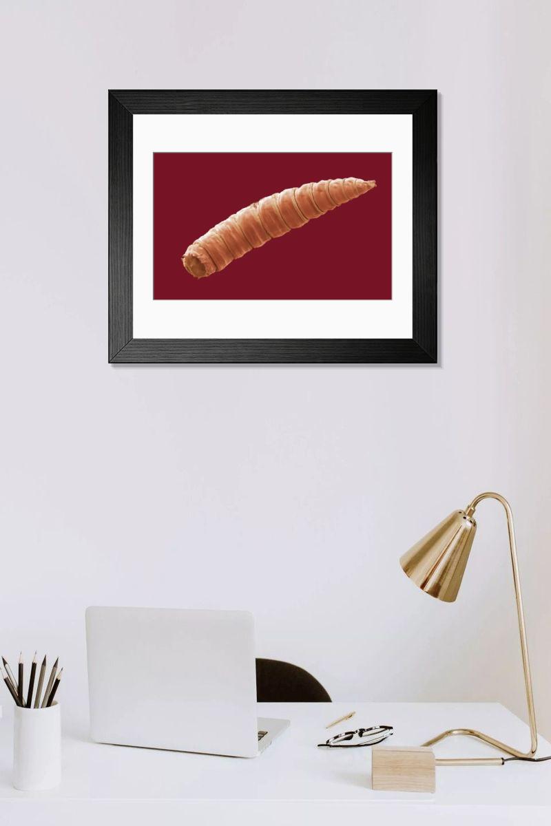 Shown hanging in a room: Modern 14"x12" (36x31cm)
