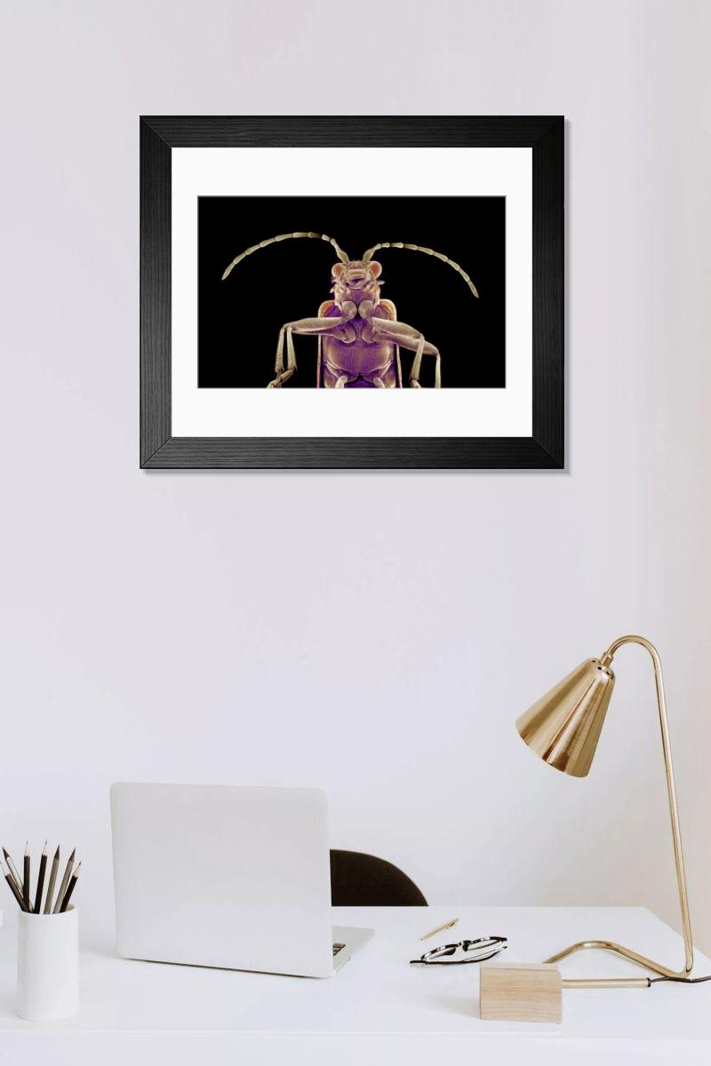 Shown hanging in a room: Modern 14"x12" (36x31cm)