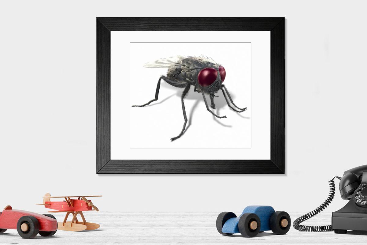 Shown hanging in a room: Modern 14"x12" (36x31cm)