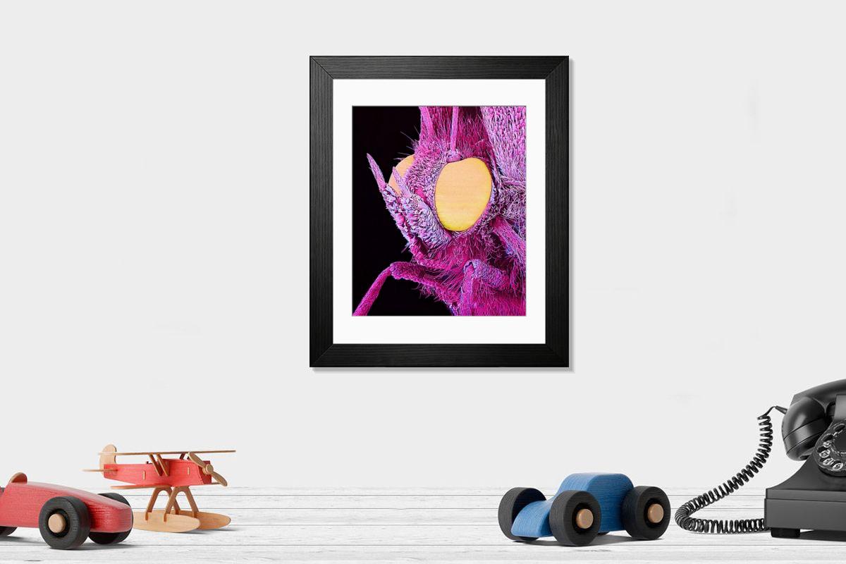 Shown hanging in a room: Modern 14"x12" (36x31cm)