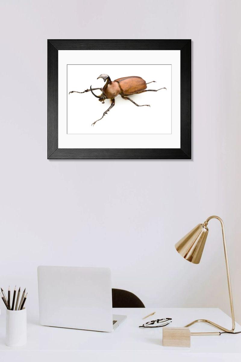 Shown hanging in a room: Modern 14"x12" (36x31cm)