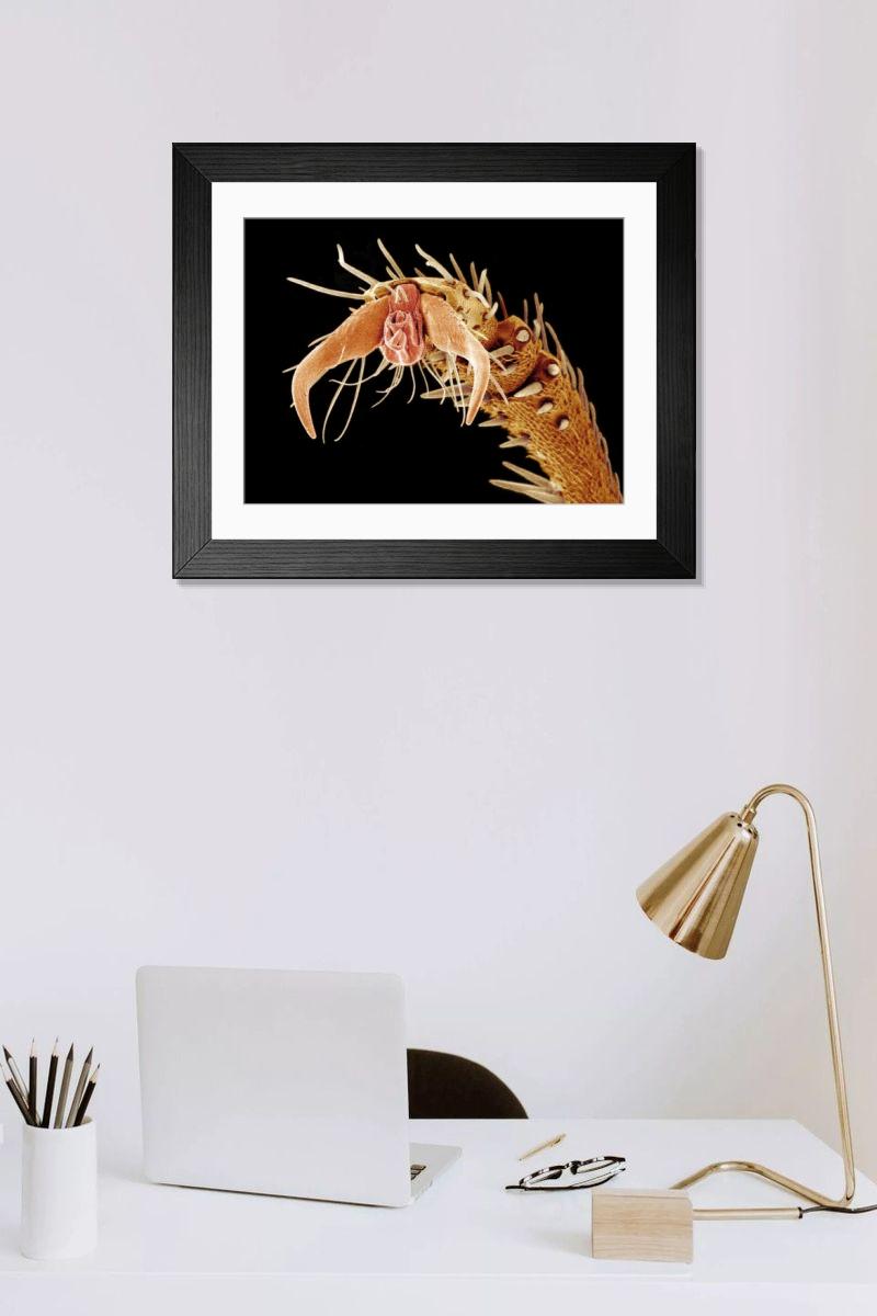 Shown hanging in a room: Modern 14"x12" (36x31cm)