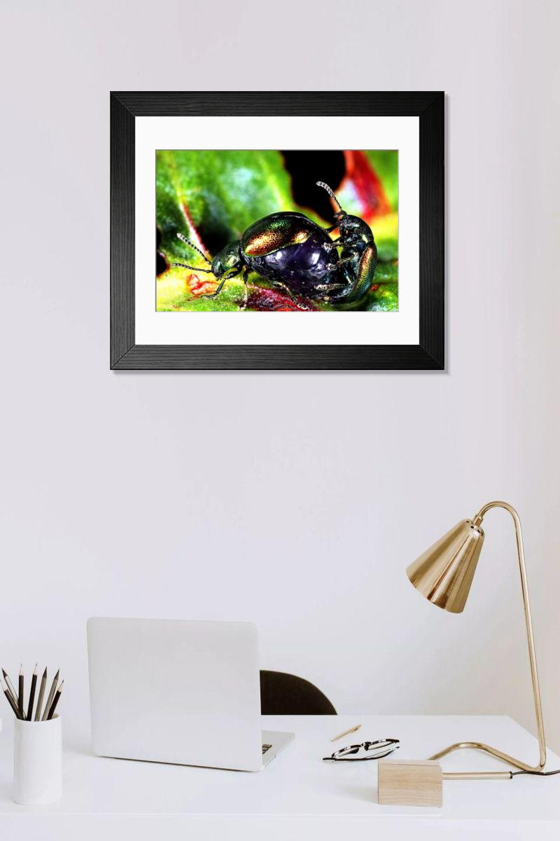 Shown hanging in a room: Modern 14"x12" (36x31cm)