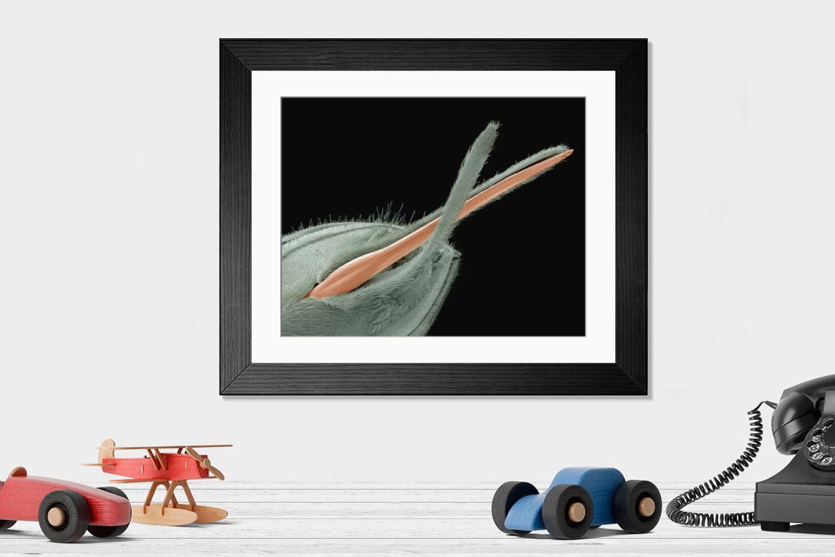 Shown hanging in a room: Modern 14"x12" (36x31cm)