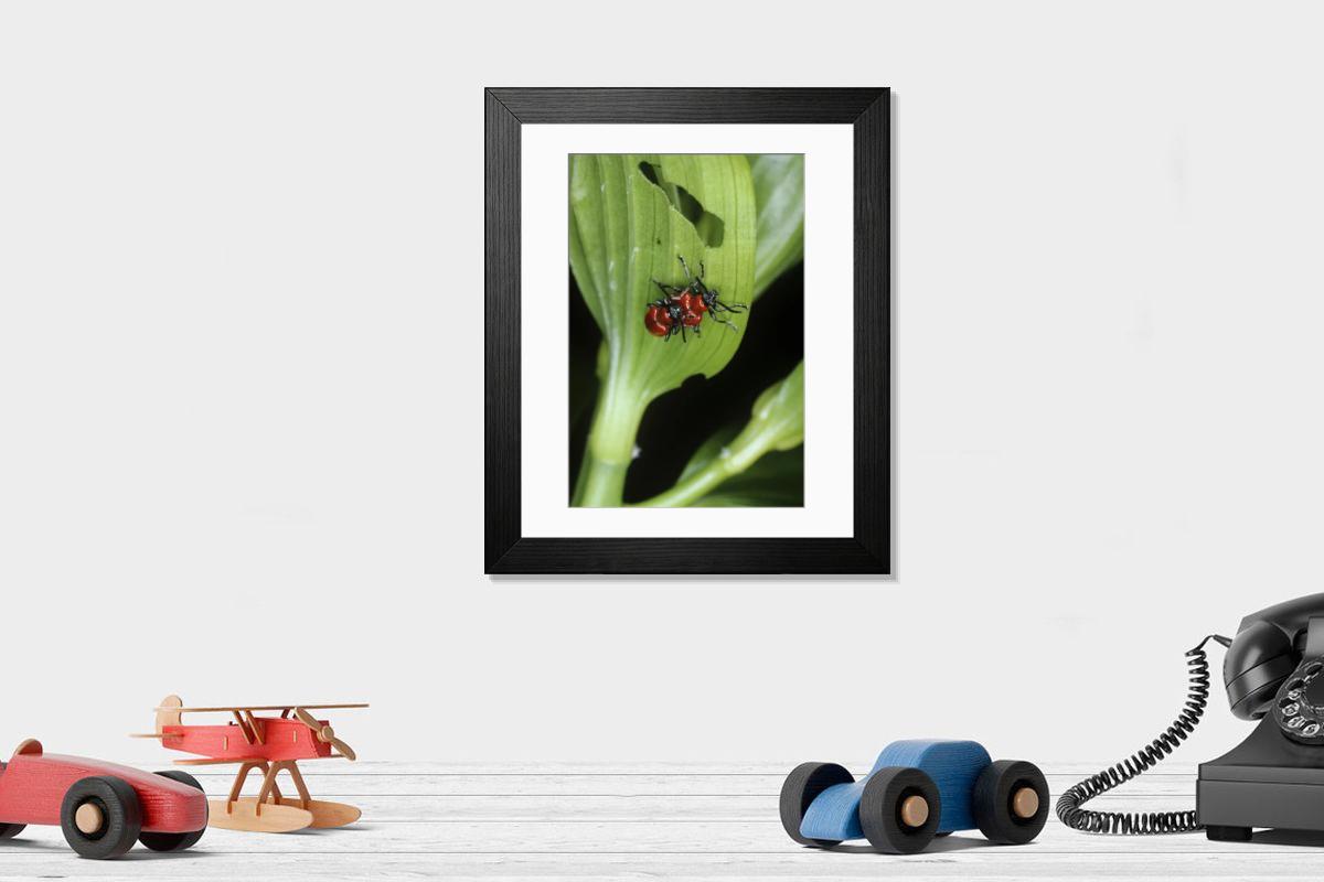 Shown hanging in a room: Modern 14"x12" (36x31cm)