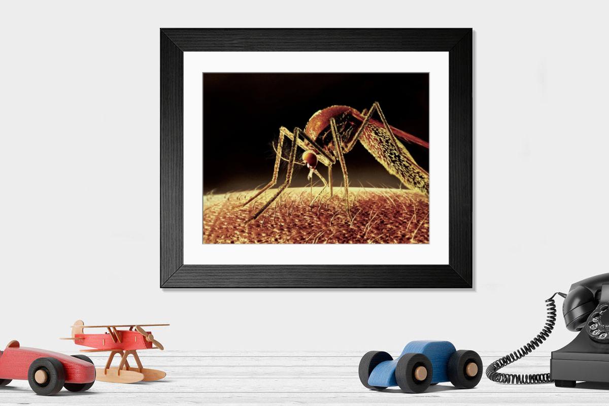 Shown hanging in a room: Modern 14"x12" (36x31cm)