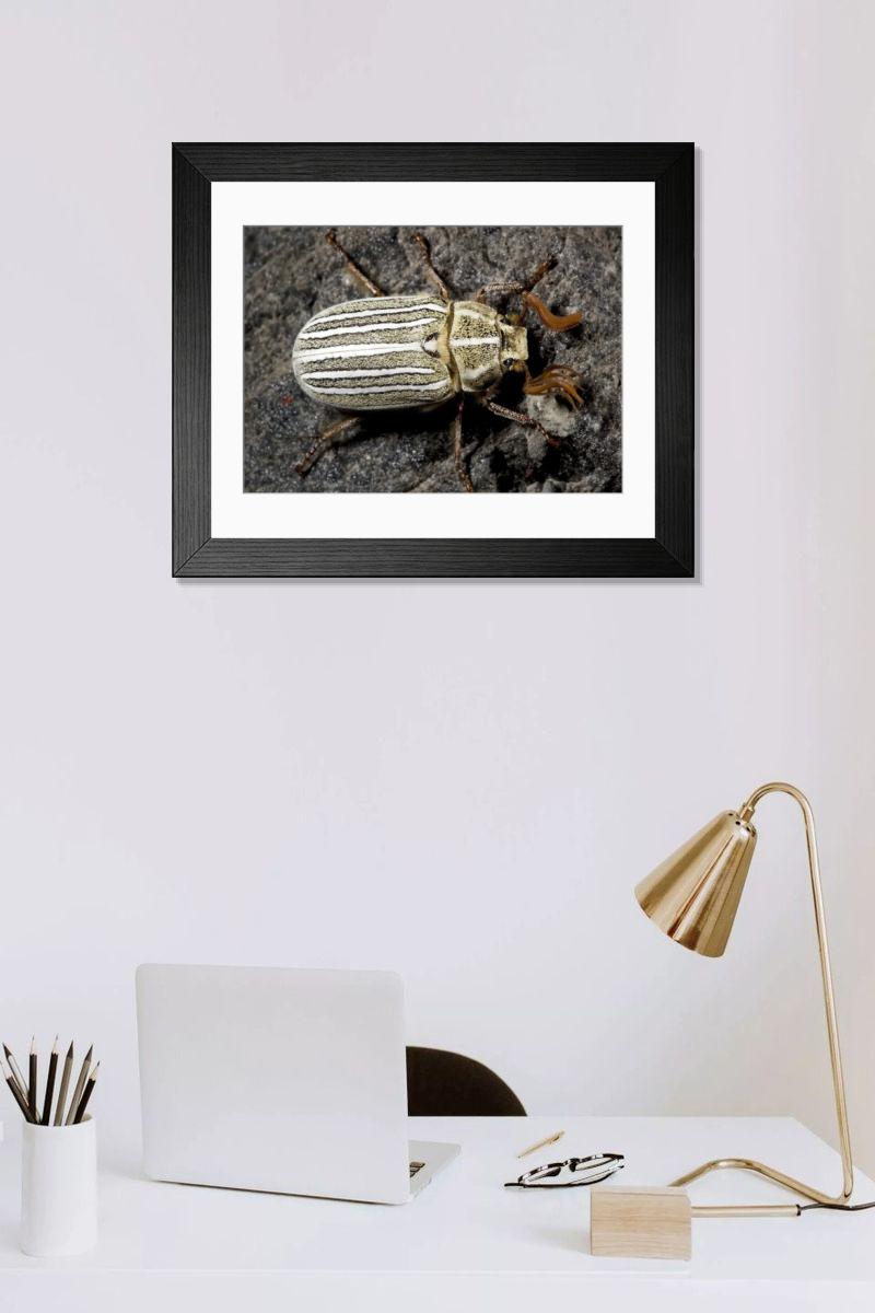 Shown hanging in a room: Modern 14"x12" (36x31cm)