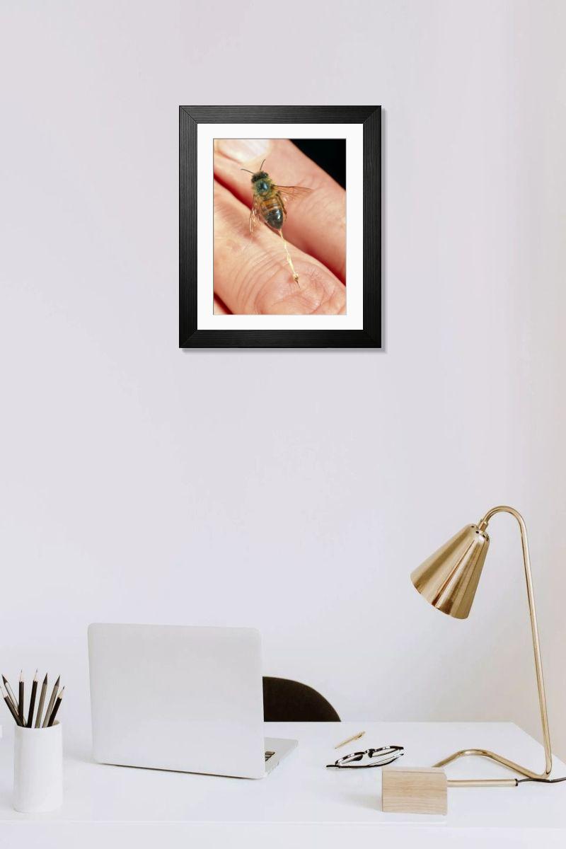 Shown hanging in a room: Modern 14"x12" (36x31cm)