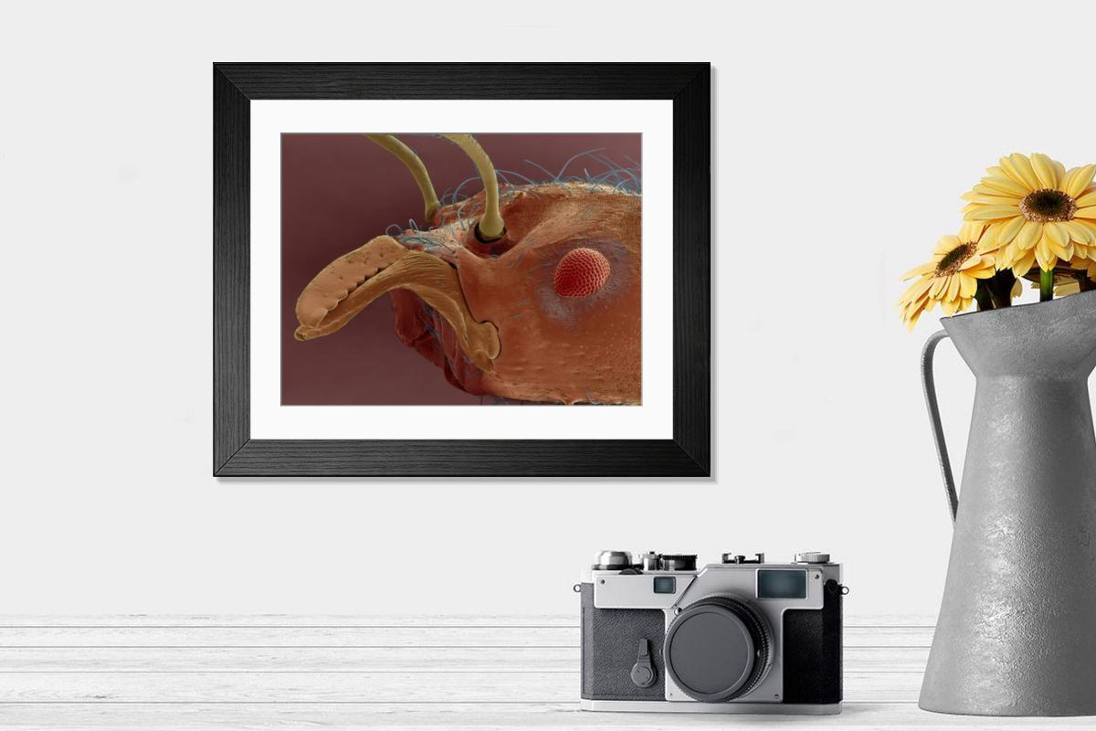Shown hanging in a room: Modern 14"x12" (36x31cm)