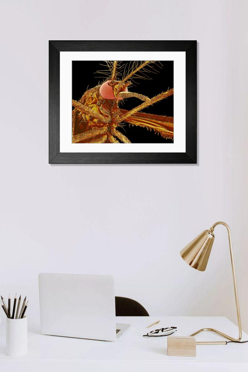 Shown hanging in a room: Modern 14"x12" (36x31cm)
