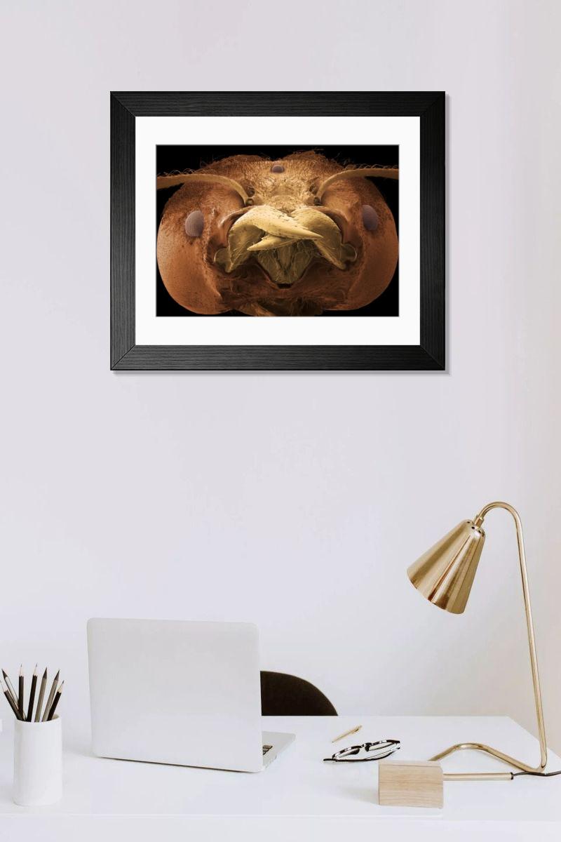 Shown hanging in a room: Modern 14"x12" (36x31cm)
