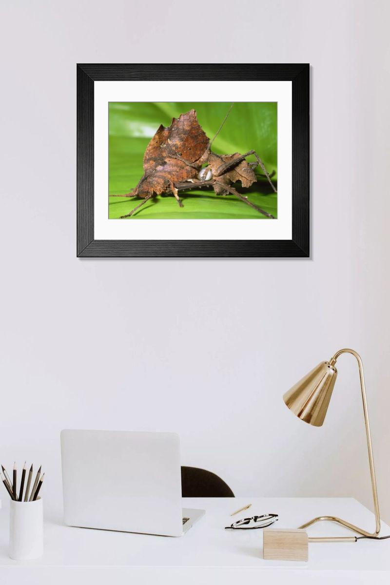 Shown hanging in a room: Modern 14"x12" (36x31cm)