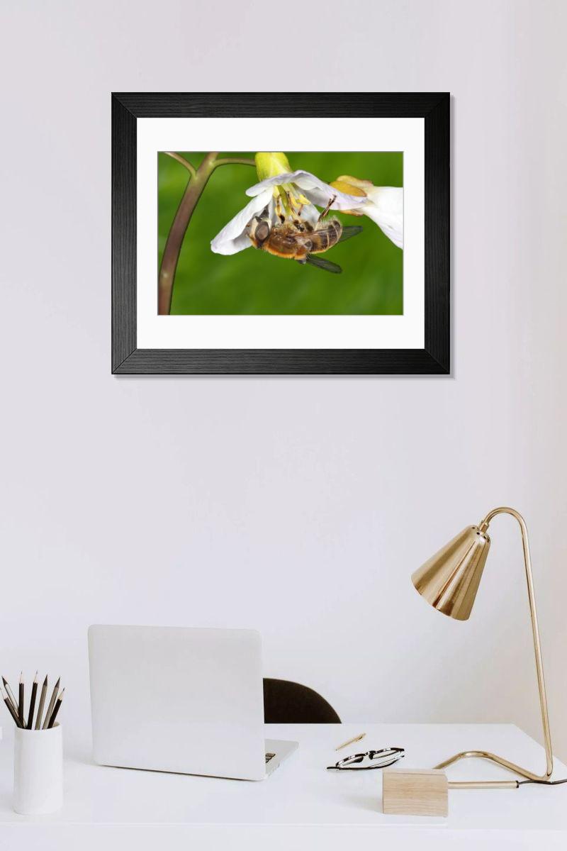 Shown hanging in a room: Modern 14"x12" (36x31cm)